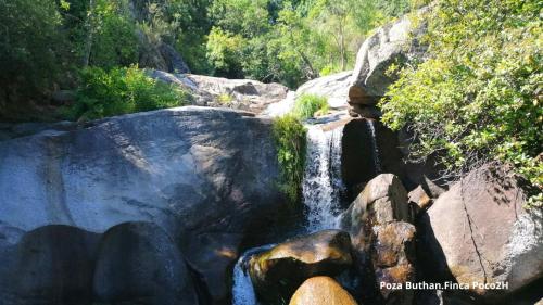 BAÑOS DE BOSQUE SUITES VEGETALES/CASCADAS 10 PERS.