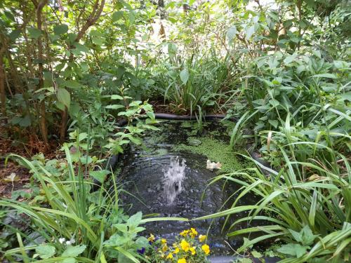 a small pond in the middle of a garden at Ferienwohnung Linke "Grünblick" in Grimma