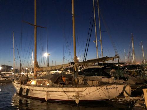 a sail boat docked in a harbor at night at Eco-responsible stay on the historical sailing boat of the Gaiarta Project - come and stay with our crew and get the whole boat experience in Saint-Cyprien
