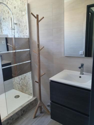 une salle de bain avec douche et lavabo dans l'établissement Cavalaire Sur Mer, à Cavalaire-sur-Mer