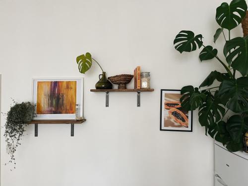 a wall with two shelves and a picture and a plant at Stylish 1 bed Garden Flat in the Heart of East London in London