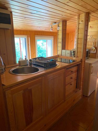 a kitchen with a sink in a wooden cabin at Apartmán Drievko in Terchová