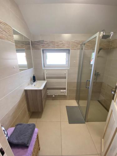 a bathroom with a shower and a sink at Ubytování ve Starém Dvoře in Třemošnice