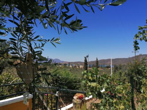 ガラタスにあるTrizinia Viewの庭園の景色を望めます。