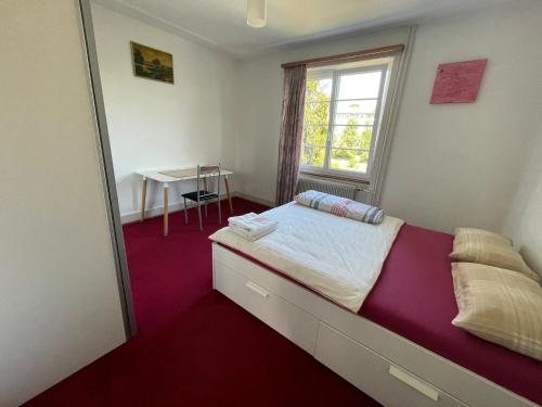 a bedroom with a bed and a window and a desk at Heart of Basel, Beautiful Guest House in Basel