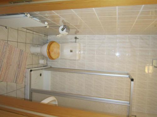 a bathroom with a toilet and a roll of toilet paper at Waldpension Stachl in Bromberg