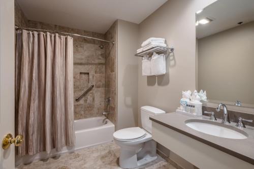 a bathroom with a toilet and a sink and a shower at Chatham Wayside Inn in Chatham