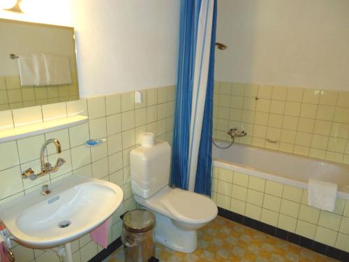 uma casa de banho com um lavatório, um WC e uma banheira em Hotel de l'Union em Orsières