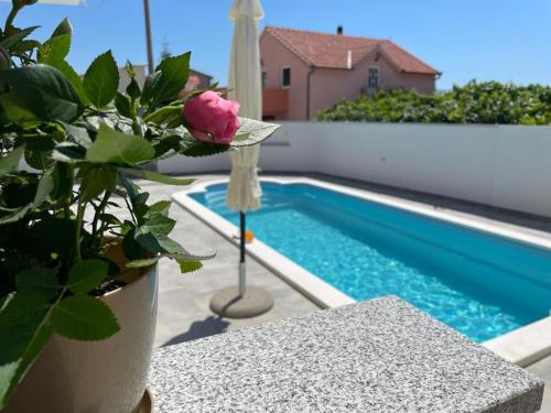 Apartment Edita Plano Trogir with private pool