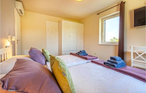 a bedroom with two beds and a window at Amazing Home In Gracisce With Sauna in Gračišče