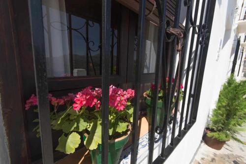 Fotografie z fotogalerie ubytování La casa del Mejorato v destinaci Priego de Córdoba