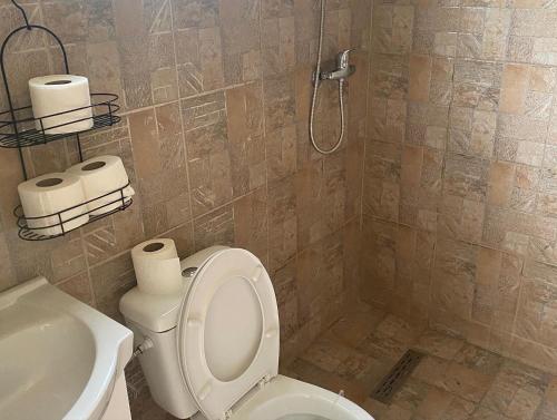 a bathroom with a toilet and a sink at La Balta in Vadul lui Carol II