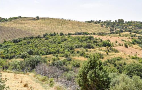 a grassy hill with trees on top of it at Gorgeous Home In Civitavecchia in Civitavecchia