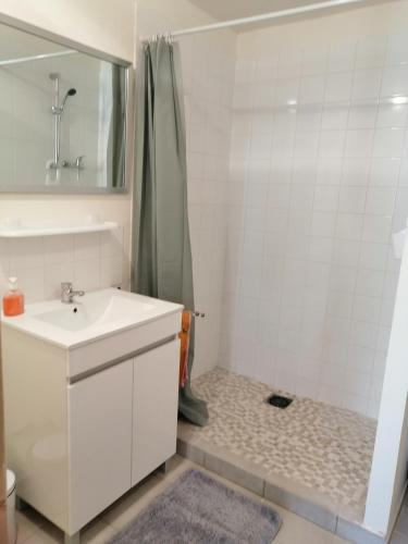 a bathroom with a sink and a shower at F Logement entier in Courtenay
