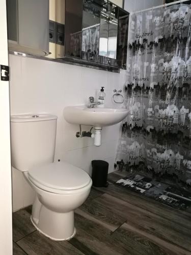 a bathroom with a toilet and a sink at Albergue Savior in Lourenzá