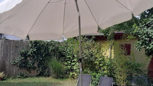 Κήπος έξω από το Nature apartman