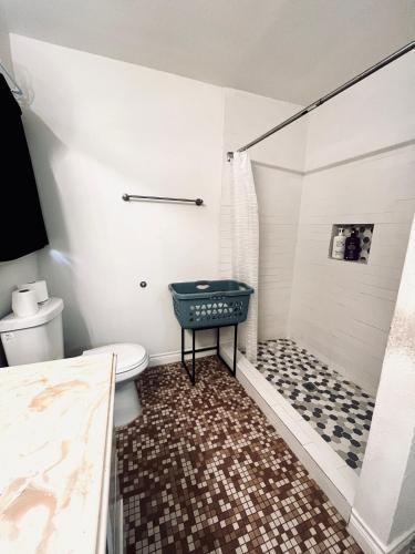 a bathroom with a shower and a toilet at Cozy Private Bed & Bath near Medical Center, Galleria and DT in Houston
