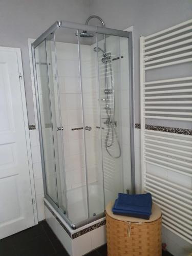 a shower with a glass enclosure in a bathroom at Ferienhaus "Zum Blauen Hause" in Wernigerode
