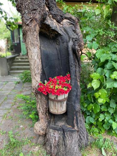 a tree stump with a pot of flowers in it at Old Summer House with renovated bathroom in Prague