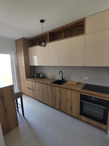 Кухня или мини-кухня в Apartman ALEKSA
