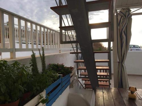 Terrazza sul mare – Photos 2