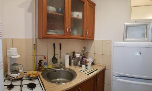 cocina con fregadero y nevera blanca en Rávágy Apartman, en Kecskemét