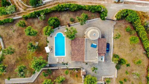 an overhead view of a garden with a blue pond at Villa Scisciula Pescoluse by HDSalento in Marina di Pescoluse