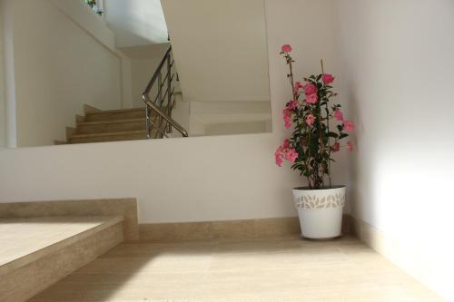 a plant in a white pot next to a staircase at Apartments Kapisoda in Cetinje
