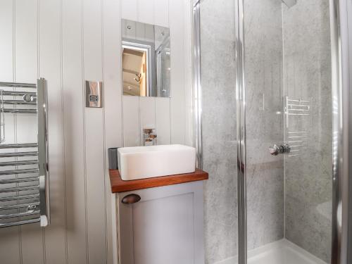 a bathroom with a sink and a shower at The Moorhen Retreat in Oswestry