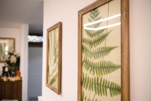 a framed picture of a fern on a wall at Dream House Pompei in Pompei