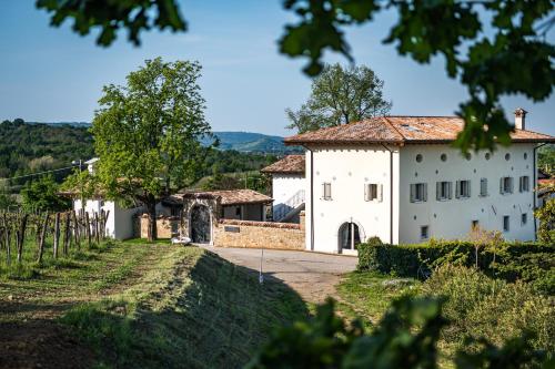 duży biały budynek w winnicy w obiekcie Borgo Gradis'ciutta w mieście Gorycja