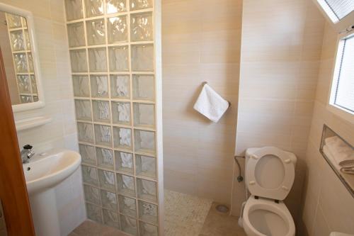 a bathroom with a toilet and a sink at Apartamentos La Baranda in Torremolinos