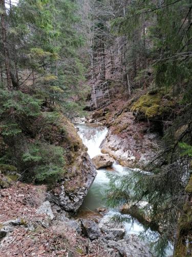 Un paisaje natural cerca de la casa de huéspedes