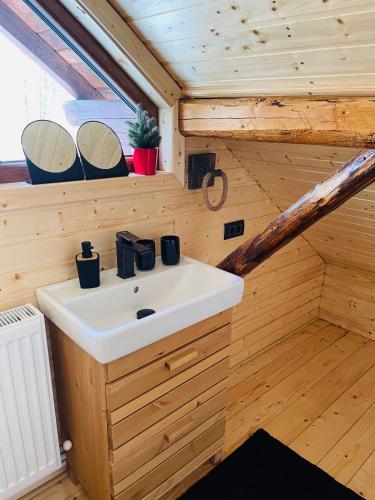 a bathroom with a sink in a tiny house at Casa Renilor in Azuga