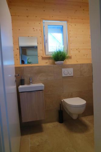 a bathroom with a toilet and a sink and a window at Alb Chalet in Meßstetten