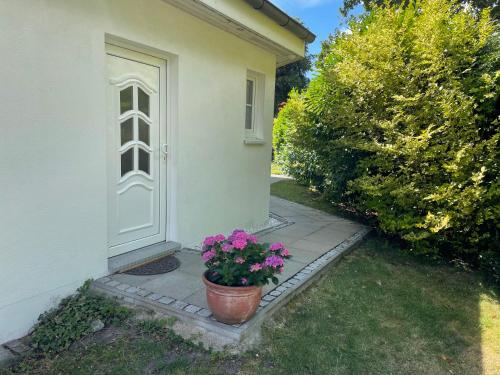a pot of flowers sitting in front of a door at Apartment Ammersbek in Ammersbek