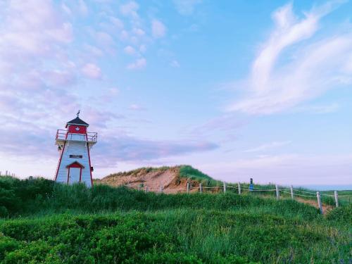 un faro situato in cima a una collina erbosa di Stanhope Cottages a Stanhope
