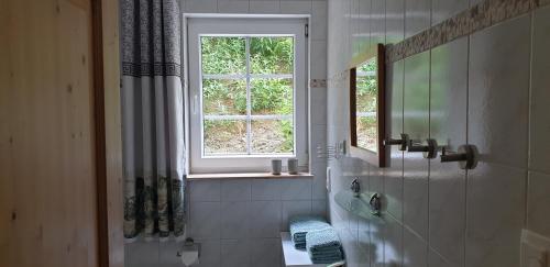 a bathroom with a sink and a window at Wanderstube Landsonne in Simmerath