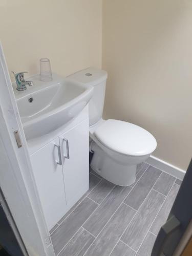 a bathroom with a white toilet and a sink at Leamington House in Barmouth