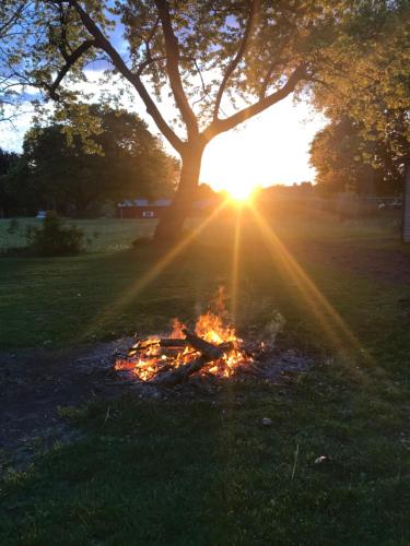 a fire in the grass under a tree at sunset at Hope Bed and Breakfast in Canton
