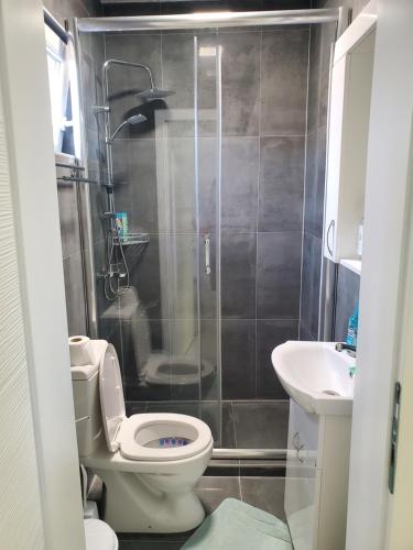 a bathroom with a shower and a toilet and a sink at Villa Koki in Ohrid