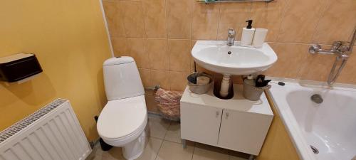 a bathroom with a white toilet and a sink at Dzīvoklis 17 in Rūjiena