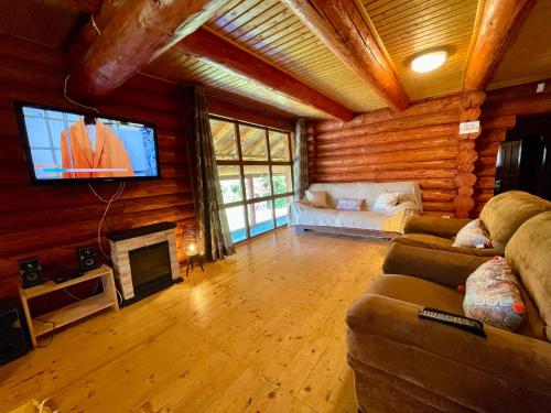 Cabana Ursu’ Zburator