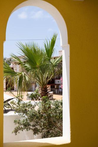 an archway with a palm tree in a courtyard at Mandilaria Studios in Perivolos