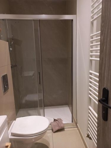 une salle de bain avec toilettes et douche en verre dans l'établissement DOGA Bel appartement 1er étage 4 personnes bebe, à Reims