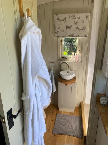 uma casa de banho com um lavatório e uma toalha branca em The Orchard Shepherds Hut em Axminster