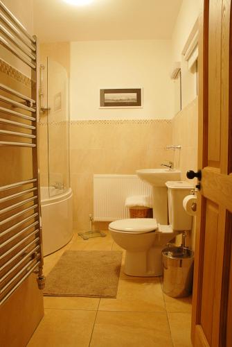 a bathroom with a toilet and a sink at Coolbeg Farmhouse in Maguires Bridge