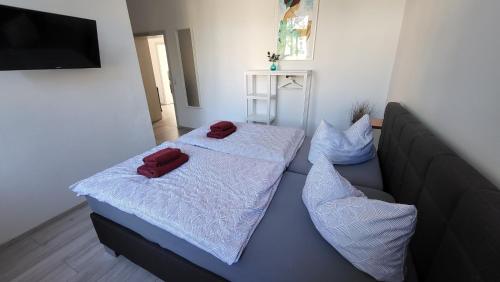 two beds in a bedroom with red pillows on them at Zum Obstler - Gaststätte und Pension in Gera