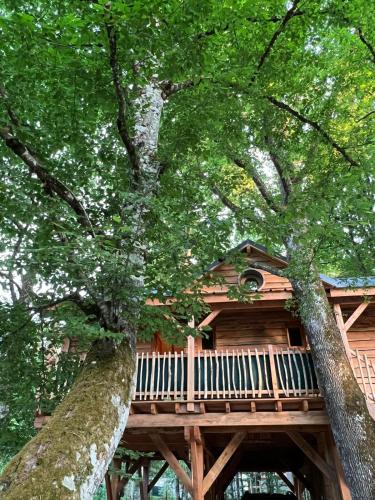 a tree house with a deck and two trees at Charmante Cabane dans les arbres avec jacuzzi et sauna in Boismorand