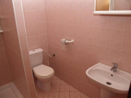 a bathroom with a toilet and a sink at Penzion Mala in Jarovce